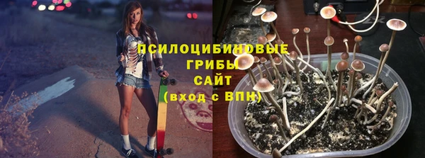 Альфа ПВП Алексеевка