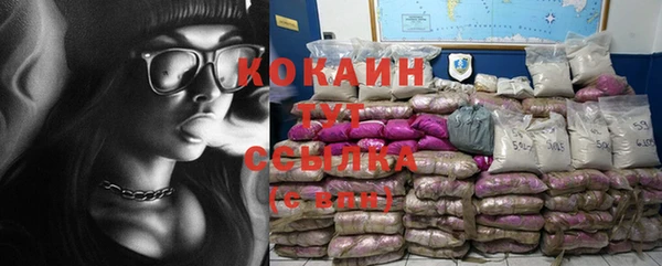 СК Алзамай