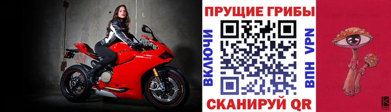 Галлюциногенные грибы Psilocybe Микунь