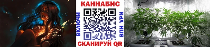 Бошки марихуана SATIVA & INDICA  Микунь 